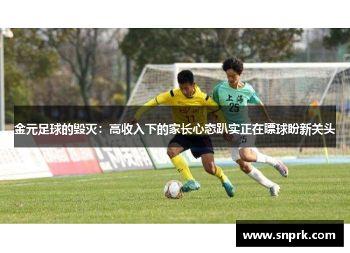 金元足球的毁灭：高收入下的家长心态趴实正在瞟球盼新关头