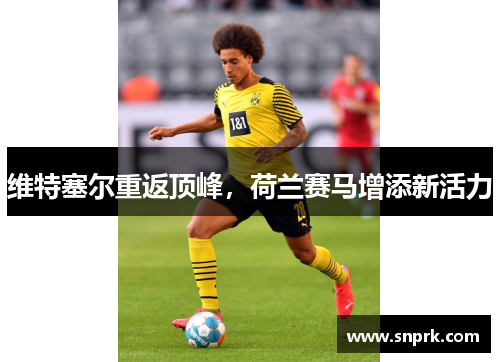 维特塞尔重返顶峰，荷兰赛马增添新活力